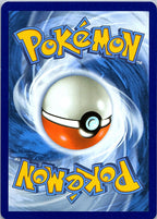 Chikorita - 2/25 Promo McDonald's 25th Anniversary Promos 002/025 NM - exact card shown back