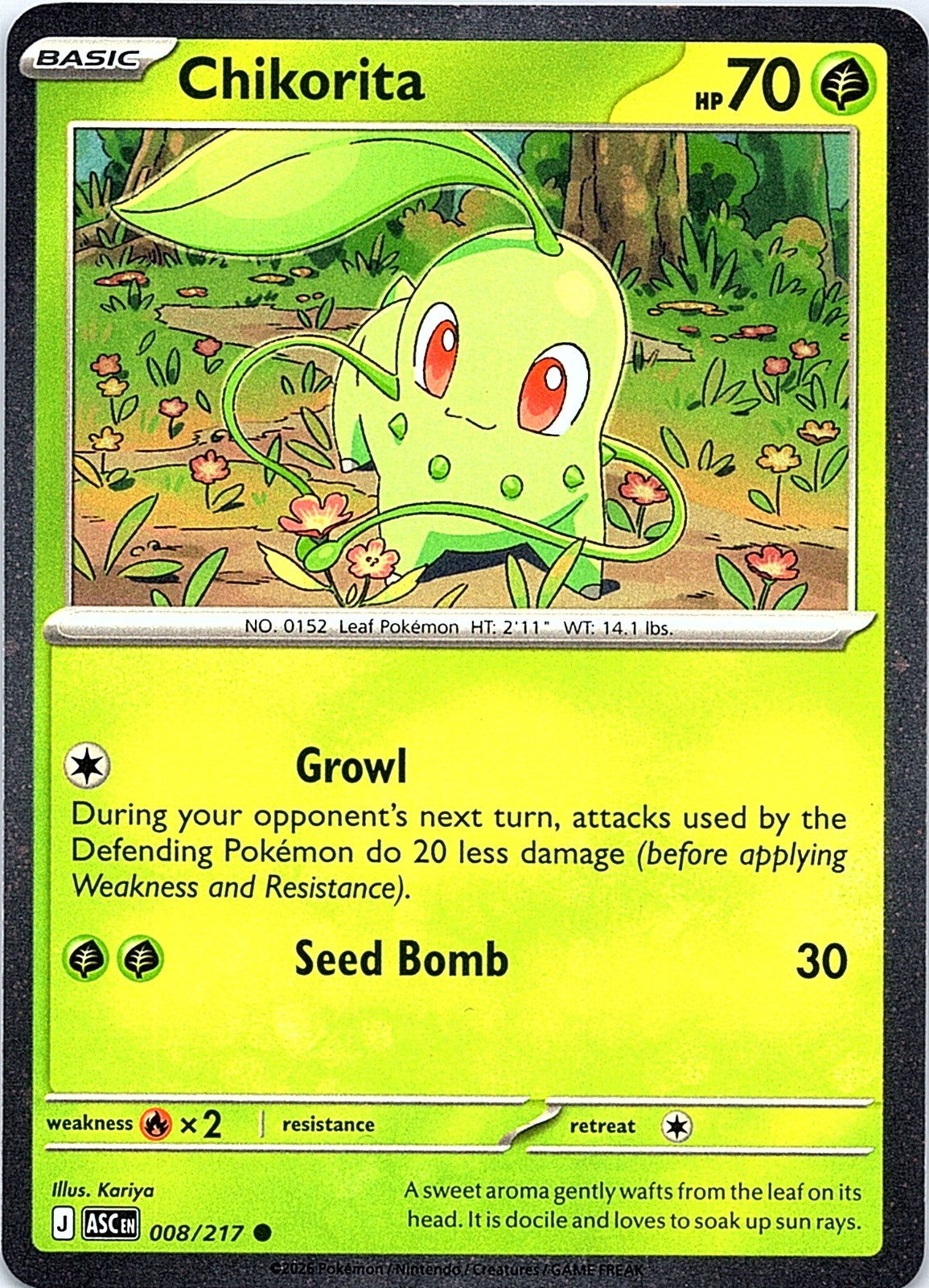 Chikorita Common ME: Ascended Heroes 008/217 NM - exact card shown front