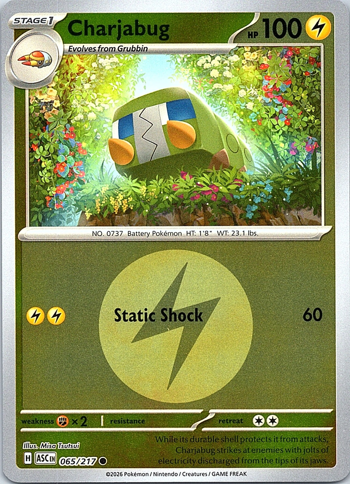 Charjabug (Energy Symbol Pattern) Reverse Holo Common ME: Ascended Heroes 065/217 NM - exact card shown front